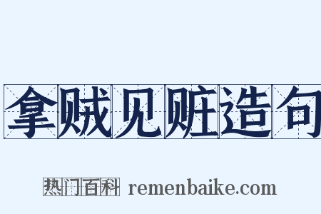拿贼见赃造句是什么意思的图片